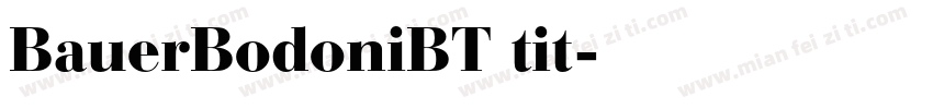 BauerBodoniBT tit字体转换